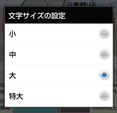 《文字サイズ設定の画像》